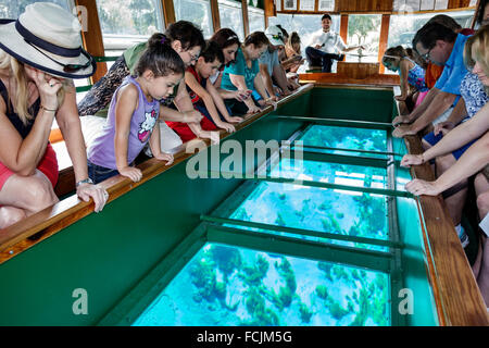 Florida, Süd, Silver Springs, State Park, Silver River Water, Glasbodenboot, Chief Micanopy, innen innen, Passagiere Reiter Reiter, Blick Stockfoto