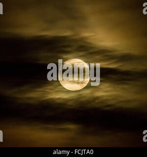 London, UK. 23. Januar 2016. Vollmond über London Stadt Credit: Guy Corbishley/Alamy Live News Stockfoto