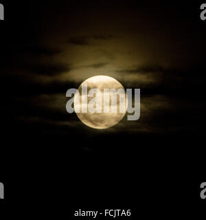 London, UK. 23. Januar 2016. Vollmond über London Stadt Credit: Guy Corbishley/Alamy Live News Stockfoto