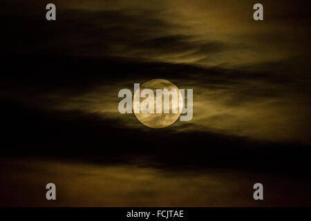 London, UK. 23. Januar 2016. Vollmond über London Stadt Credit: Guy Corbishley/Alamy Live News Stockfoto