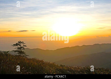 Morgensonne über den Nebel Wald Nationalpark, Thailand Stockfoto
