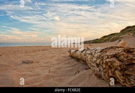 Toten Baumstamm am Strand im Sonnenuntergang Zeit, Spanien Stockfoto