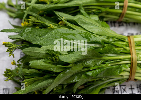 Grünes Blattgemüse in einem Markt in Yangshuo, China. Stockfoto