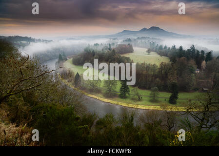 Der Nebel steigt über den Fluss Tweed an Scott's View mit dem Eildon Hills im Hintergrund. Der schottischen Grenzland. Stockfoto