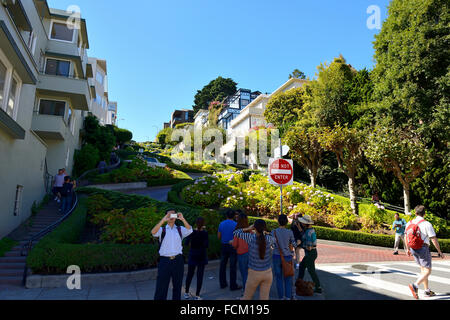 Lombard Street in San Francisco, Kalifornien, USA Stockfoto
