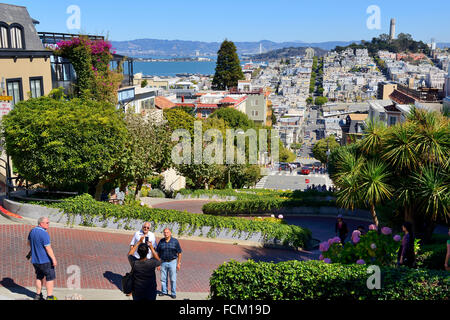 Ansicht von oben der Lombard Street, mit Blick auf Telegraph Hill in San Francisco, Kalifornien, USA Stockfoto