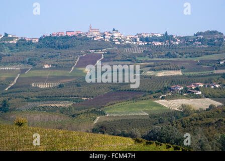 Weinberge auf den Hügeln der Langhe im Piemont, Norditalien Stockfoto