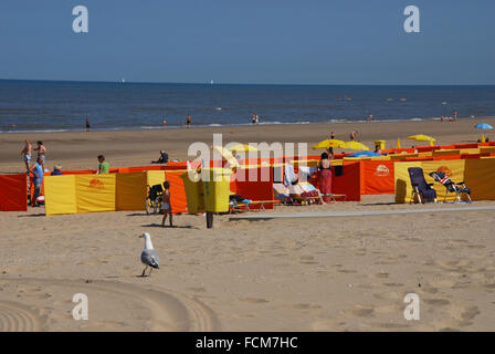 Strandleben in Noordwijk Aan Zee, Niederlande-Europa Stockfoto