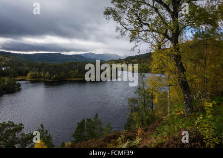 Loch Beinn a'Mheadhoin, Glen Affric, Beauly, Schottland, Vereinigtes Königreich Stockfoto