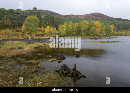 Loch Beinn a'Mheadhoin, Glen Affric, Beauly, Schottland, Vereinigtes Königreich Stockfoto