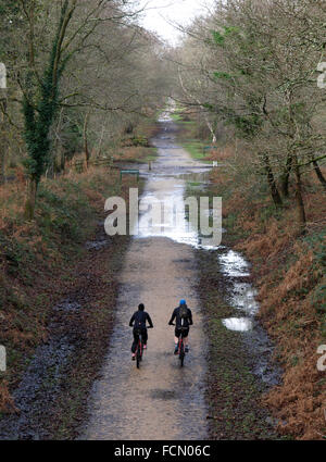 Zwei Radfahrer auf dem Mountainbike entlang einer stillgelegten Eisenbahnstrecke im Winter, New Forest, Hampshire, UK Stockfoto