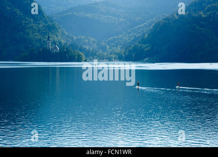 Blick über die schöne See Bleds Insel Kirche der Himmelfahrt Mariens als Paar Paddel auf einem SUP (standup paddleboard Stockfoto