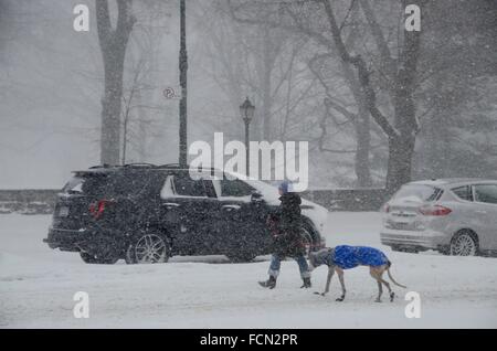 New York, USA. 23. Januar 2016. New York Jonas Schneesturm Brooklyn 2016 Credit: Simon Leigh/Alamy Live News Stockfoto