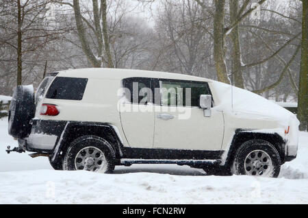 New York, USA. 23. Januar 2016. New York Jonas Schneesturm Brooklyn 2016 Credit: Simon Leigh/Alamy Live News Stockfoto