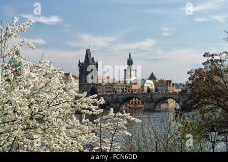 Prag. Die berühmten Charles Brücke der alten Altstädter Brückenturm. Stockfoto