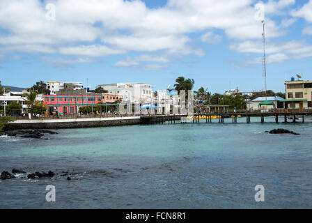 Puerto Ayora Insel Santa Cruz Galapagos Inseln Ecuador Stockfoto