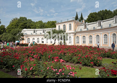 Die große Orangerie, unteren Park auf dem Gelände des Peterhof Palast, Petergof, St. Petersburg, Northwestern, Russland. Stockfoto