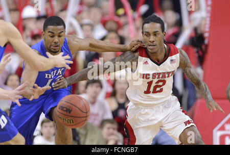 23. Januar 2016 kämpft um eine lockere Kugel gegen MATT JONES (13) der Duke - Raleigh, North Carolina, USA - ANTHONY BARBER (12) der North Carolina State University. Die North Carolina State University Wolfpack veranstaltete die Duke Blue Devils in der PNC Arena in Raleigh, NC (Credit-Bild: © Fabian Radulescu über ZUMA Draht) Stockfoto