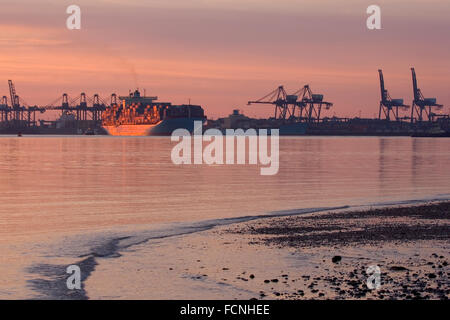 Voll beladene Container-Schiff, ausgehend von Felixstowe bei Sonnenuntergang mit Kränen und Docks im Hintergrund, Juni 2008 Stockfoto