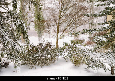 Chappaqua, New York, USA. 23. Januar 2016. Die erste Blizzard 2016 schlägt mit wirbelnden Schneetreiben im New Yorker Vorort Chappaqua im Westchester County mit Windböen Whiteout Bedingungen zu schaffen und bis 20 Zoll Schnee Prognose vor dem Schneesturm prügelten die Ostküste landet. Bildnachweis: 2016 Marianne Campolongo/Alamy Live News Nr. Property-Release sondern vom Fotografen Hof mit Blick auf andere Eigenschaften. Ich kann in der Lage, eine Freigabe zu bekommen, wenn nötig sein. Stockfoto