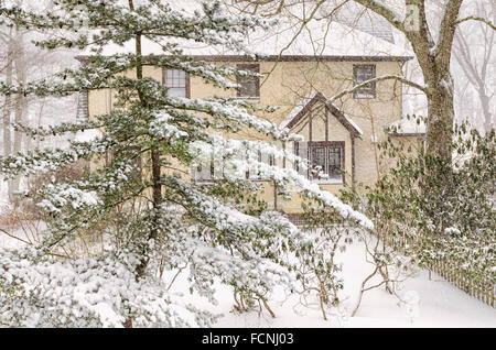 Chappaqua, New York, USA. 23. Januar 2016. Die erste Blizzard 2016 Hits der New Yorker Vorort Chappaqua im Westchester County mit Wind Böen Whiteout Voraussetzungen geschaffen und landet auf 20 Zoll Schnee vor dem Schneesturm prügelten Prognose der Ostküste. Bildnachweis: 2016 Marianne Campolongo/Alamy Live News Nr. Property-Release sondern vom Fotografen Hof mit Blick auf andere Eigenschaften. Ich kann in der Lage, eine Freigabe zu bekommen, wenn nötig sein. Stockfoto