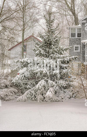 Chappaqua, New York, USA. 23. Januar 2016. Die erste Blizzard 2016 Hits der New Yorker Vorort Chappaqua im Westchester County mit Wind Böen Whiteout Voraussetzungen geschaffen und landet auf 20 Zoll Schnee vor dem Schneesturm prügelten Prognose der Ostküste. Bildnachweis: 2016 Marianne Campolongo/Alamy Live News Nr. Property-Release sondern vom Fotografen Hof mit Blick auf andere Eigenschaften. Stockfoto