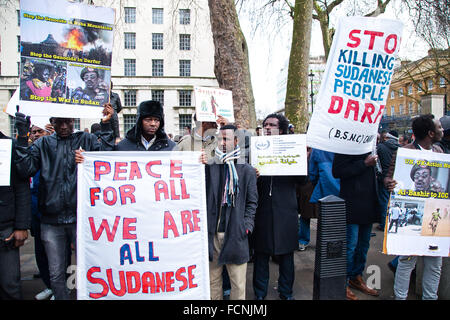 London, UK. 23. Januar 2016. Hunderte von Sudanesen aus der überall im Vereinigten Königreich marschierte in London und eine Demonstration vor Downing Street in London fordert der sudanesischen Regierung auf die Konflikte in Darfur im Sudan zu beenden. Organisiert wurde der Protest von Darfur Union UK Credit: Dinendra Haria/Alamy Live News Stockfoto