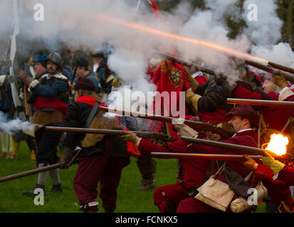 Schwarzes Pulver Maschinengewehr schießen in Crewe, Cheshire, UK. 23. Jan 2016. Belagerung von Nantwich Re-enactment. Seit über 40 Jahren den Gläubigen Truppen der versiegelten Knoten in der historischen Altstadt für eine spektakuläre re gesammelt haben - Verabschiedung der blutigen Schlacht, die fast vor 400 Jahren stattfand und markiert das Ende der langen und schmerzhaften Belagerung der Stadt. Roundheads, Kavaliere, und andere historische Animateure converged auf das Stadtzentrum neu zu verordnen, die Schlacht. Die Belagerung im Januar 1644 war einer der wichtigsten Konflikte des Englischen Bürgerkriegs. Stockfoto