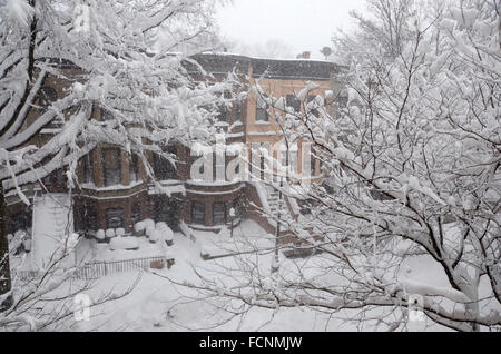 New York, USA. 23. Januar 2016. Jonas Schnee Sturm New York Brooklyn 2016 Credit: Simon Leigh/Alamy Live News Stockfoto