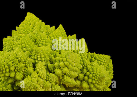 Studioaufnahme von einer frischen Romanesco Kohl auf schwarzem Hintergrund Stockfoto