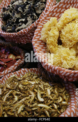 Getrocknete Pilze, Markt La Boqueria (Mercat de Sant Josep De La Boqueria), Les Rambles, Ciutat Vella Bezirk, Barcelona, Spanien. Stockfoto