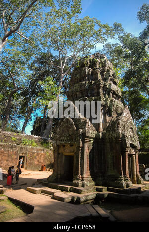 Kleiner Tempel in Ta Prohm Komplex in Siem Reap, Kambodscha. Stockfoto