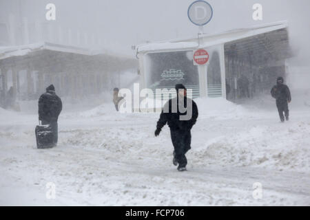 Staten Island, NY, USA. 23. Januar 2016. Die Menschen gehen nach und von der Staten Island Ferry St. George im Winter Sturm Jonas terminal. Ein Reiseverbot hatte es seit Stunden, aber die Fähre noch betrieben. Schneefall Prognosen für Staten Island waren ca. 12-18 In mit Windgeschwindigkeiten in Böen bis zu 50 Meilen pro Stunde. Am späten Nachmittag Busse nicht mehr laufen und ein Reiseverbot wurde durch das NYPD durchgesetzt. Dieser Mangel an Verkehrsmitteln gestrandet viele Bewohner von Staten Island, die die Fähre nach Hause genommen hatte. Menschen waren gezwungen, zu versuchen, zu Fuß zu ihrem Bestimmungsort im Schneesturm. New Yorker Gouverneur Andrew Cuomo Stockfoto