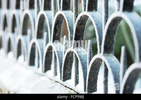 Abstrakten Detail ein Eisenzaun mit Frost. Geringe Schärfentiefe. Dies war ein kalter Tag mit viel Feuchte in der Luft. Stockfoto