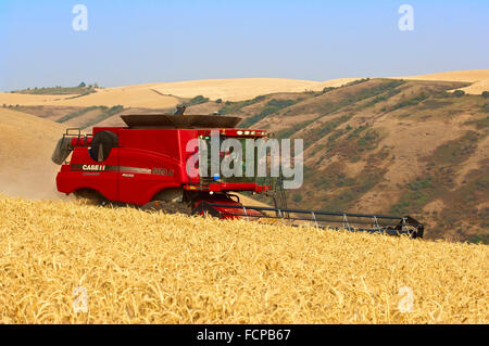 Case Mähdrescher erntet Weizen auf den Hügeln der Palouse Region Washington Stockfoto