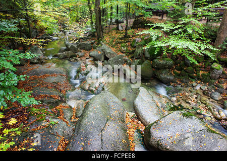 Kleiner Bach im herbstlichen Bergwald, Polen Stockfoto
