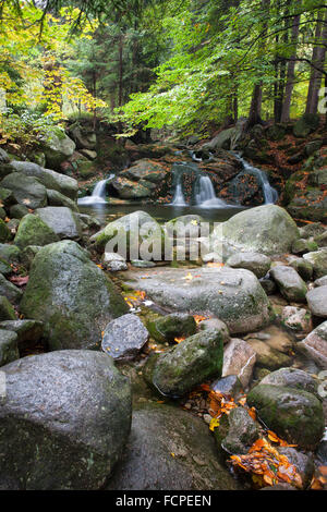 Felsige Bucht mit kleinen Wasserfall im Bergwald Stockfoto