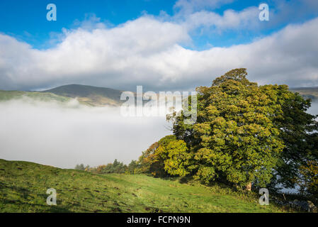 Mam Tor gesehen oberhalb einer Schicht der Morgennebel an einem sonnigen Herbsttag in der Nähe von Castleton im Peak District, Derbyshire. Stockfoto