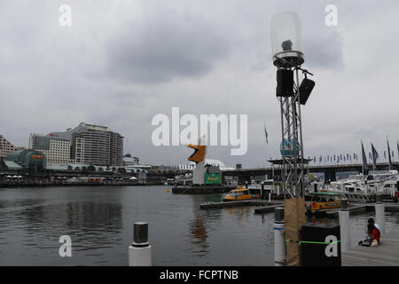 Vor der Australia Day Feierlichkeiten in Darling Harbour, ist was scheint, eine Art von riesigen weißen Vogel erschienen. Stockfoto