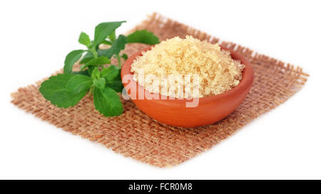 Grobe Kristalle von braunem Zucker mit Stevia-Blätter Stockfoto