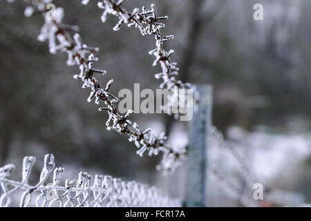 Stacheldraht Zaun Hoar-Frost, Stacheldraht Zaun Stockfoto