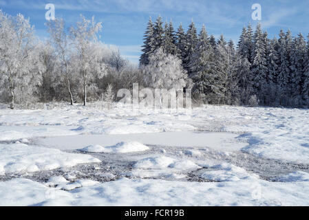 Heidelandschaft mit gefrorenen Pingo im Winter an der Hoge Venena / hohe Venn / Hautes Fagnes, belgische Nature reserve in Lüttich, Belgien Stockfoto