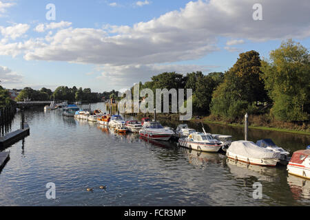 Boote vertäut an der Themse bei Teddington Lock, London, UK. Stockfoto