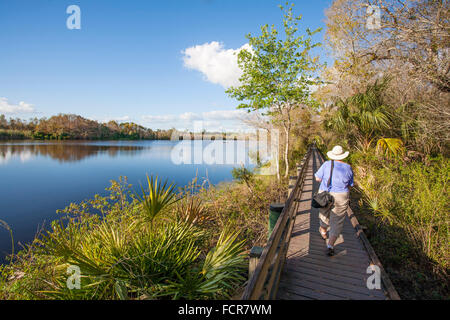 Promenade in Six Mile Cypress Slough bewahren in Fort Myers Florida Stockfoto