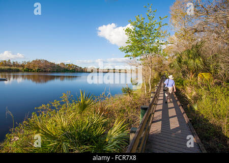 Promenade in Six Mile Cypress Slough bewahren in Fort Myers Florida Stockfoto