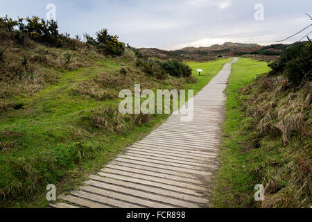 Ein Holzweg führt der Weg zum Murlough Strand außerhalb der Stadt Newcastle im County Down, Irland. Stockfoto