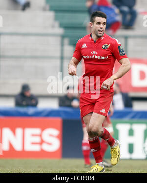 Treviso, Italien. 24. Januar 2016. Münsters Spieler Conor Murray während Rugby Champions Cup-match zwischen Benetton Treviso und Munster Rugby am 24. Januar 2016 Monigo Stadium. Bildnachweis: Andrea Spinelli/Alamy Live-Nachrichten Stockfoto