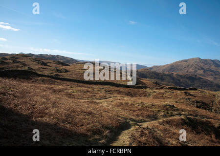 Eine Fernsicht auf Helm Crag von Loughrigg fiel oben Ambleside Cumbria Lake District, England Stockfoto