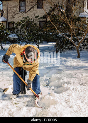 Chappaqua, New York. 24. Januar 2016. Zeit zu graben nach Schnee Vorort Westchester County New York am Tag nach dem ersten Blizzard 2016 in der Region bedeckt. Bildnachweis: 2016 Marianne Campolongo/Alamy Live-Nachrichten Stockfoto