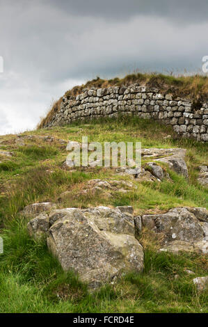 Der Hadrianswall in der Nähe des römischen Kastells Housesteads, Northumberland, England, UK Stockfoto